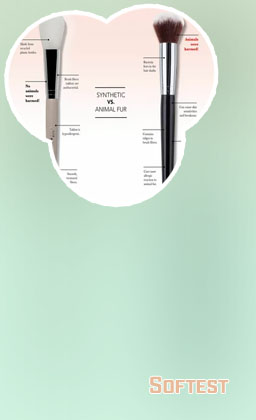 Brush makeup recommended