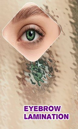 Eyebrow lamination tint