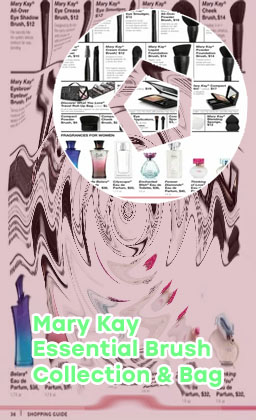 Mary kay essential brush collection